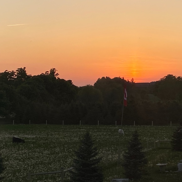 Meet your Posher, Mackenzie - Picture 1 of 1